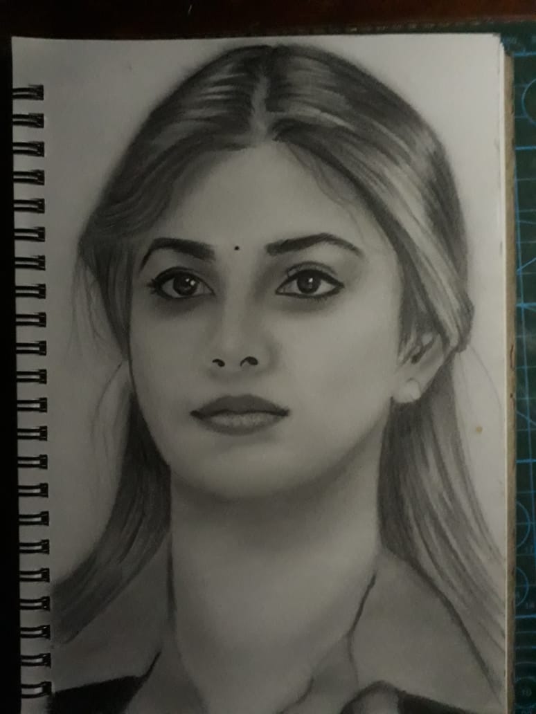 sketches